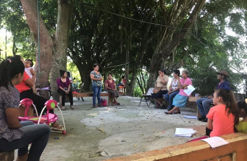 481 Colabora BUAP en investigación para detonar la agricultura sostenible