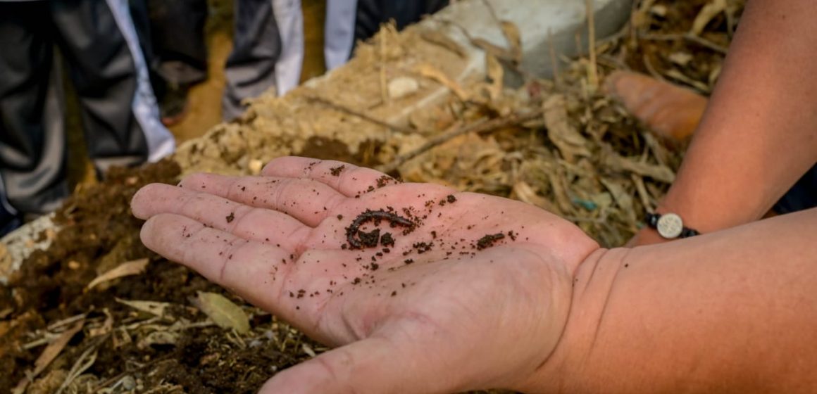 Ayuntamiento de Puebla brinda talleres virtuales de cultivo para zonas urbanas