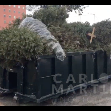 (VIDEO) Árboles de navidad son canjeados por boletos 2×1 para el parque Africam Safari