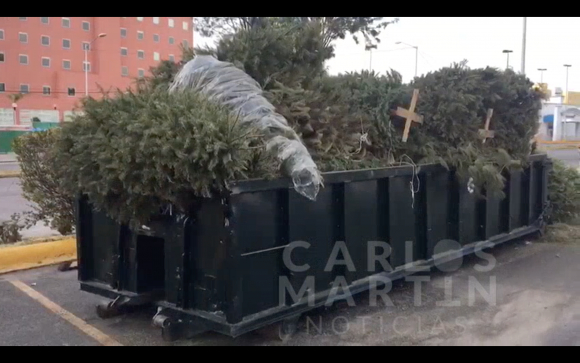 (VIDEO) Árboles de navidad son canjeados por boletos 2×1 para el parque Africam Safari