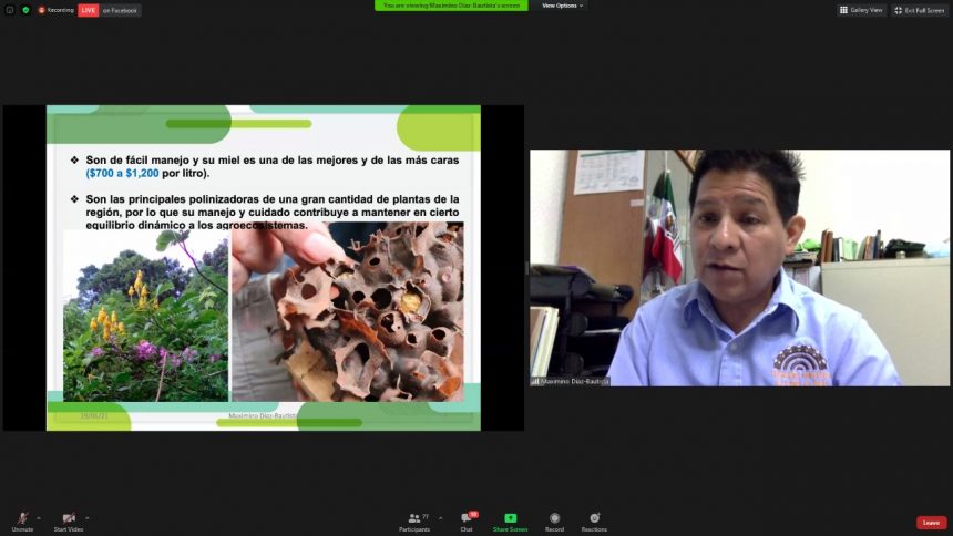 Apoyará SDR producción apícola en la entidad