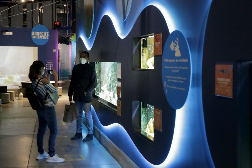 ACUARIO MICHIN Centros de entretenimiento familiar piden abrir para no desaparecer