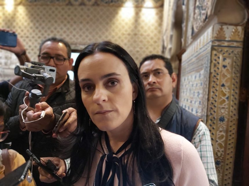 Pide diputada poblana cancelar proyecto de “Dos Bocas”