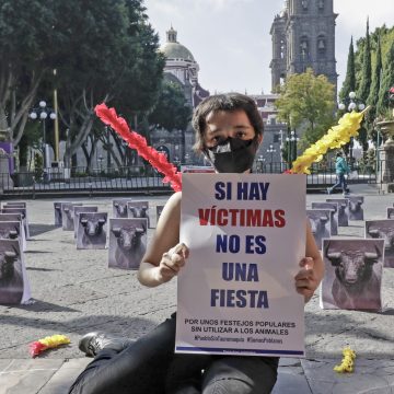 (VIDEO) Realizan manifestación en el Zócalo para prohibir las corridas de toros