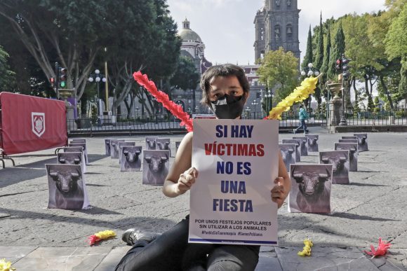 (VIDEO) Realizan manifestación en el Zócalo para prohibir las corridas de toros