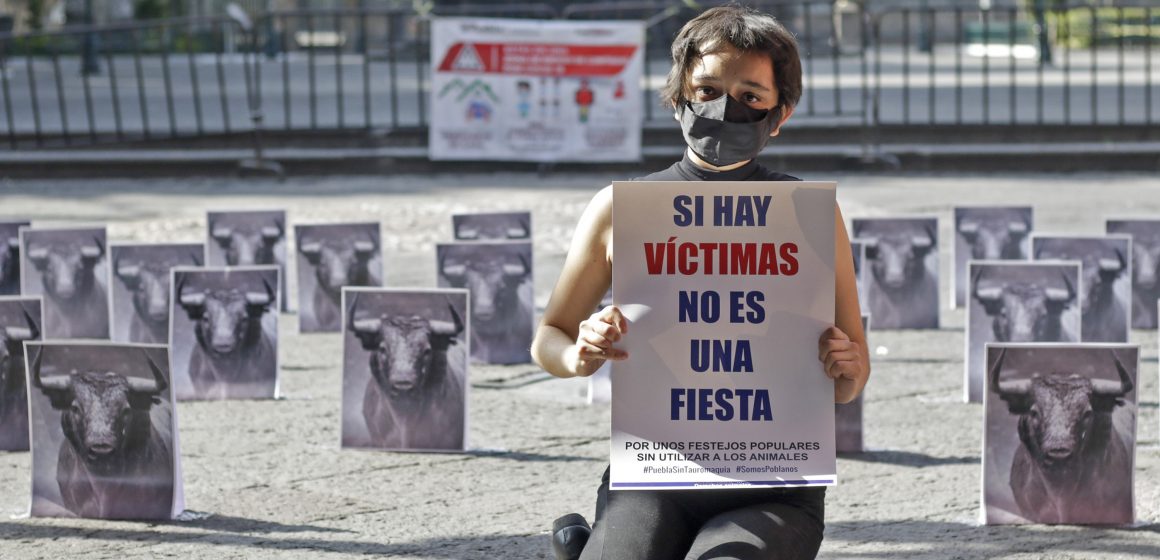 Firme la propuesta para prohibir corridas de toros y peleas de gallos en Puebla