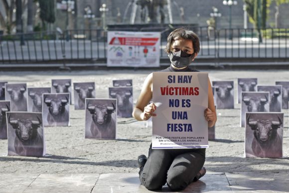 Firme la propuesta para prohibir corridas de toros y peleas de gallos en Puebla