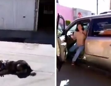 (VIDEO) Rescatan a perrito que era arrastrado por su dueña en una camioneta en Tehuacán
