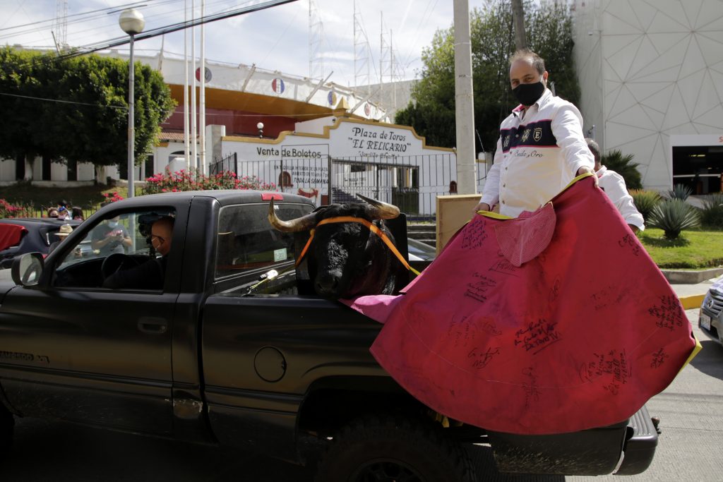 puebla es taurina 450708