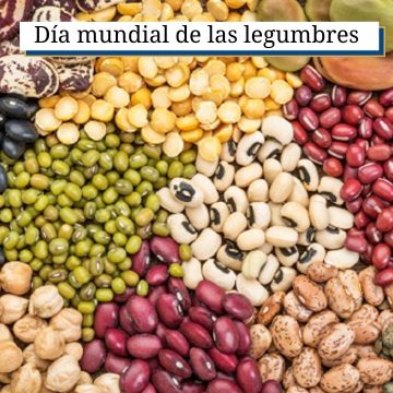 Beneficios que obtienes al comer legumbres