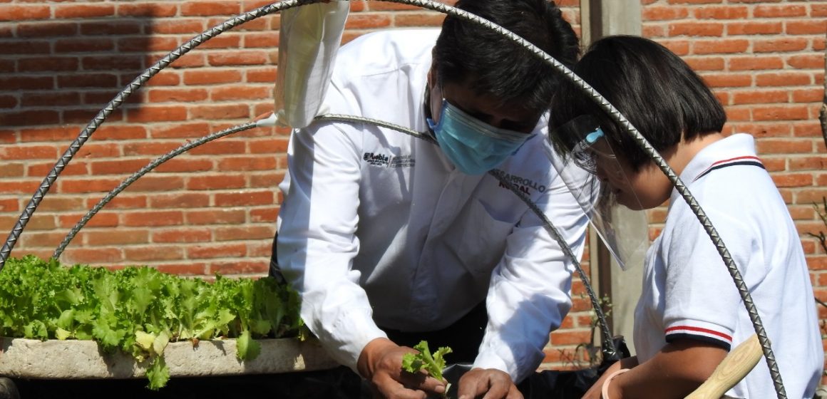 Ayuntamiento de Puebla capacita a estudiantes sobre huertos escolares