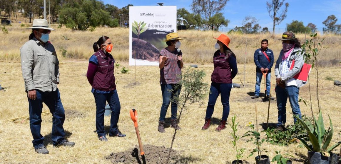 Ayuntamiento de Puebla da banderazo a Jornadas de Arborización 2021