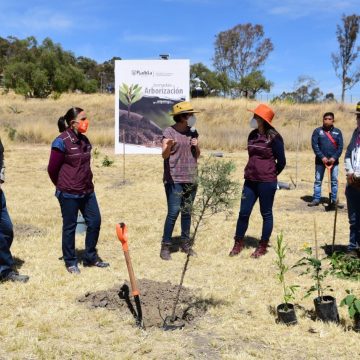 Ayuntamiento de Puebla da banderazo a Jornadas de Arborización 2021
