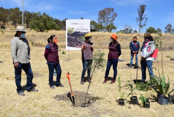 Ayuntamiento de Puebla da banderazo a Jornadas de Arborización 2021