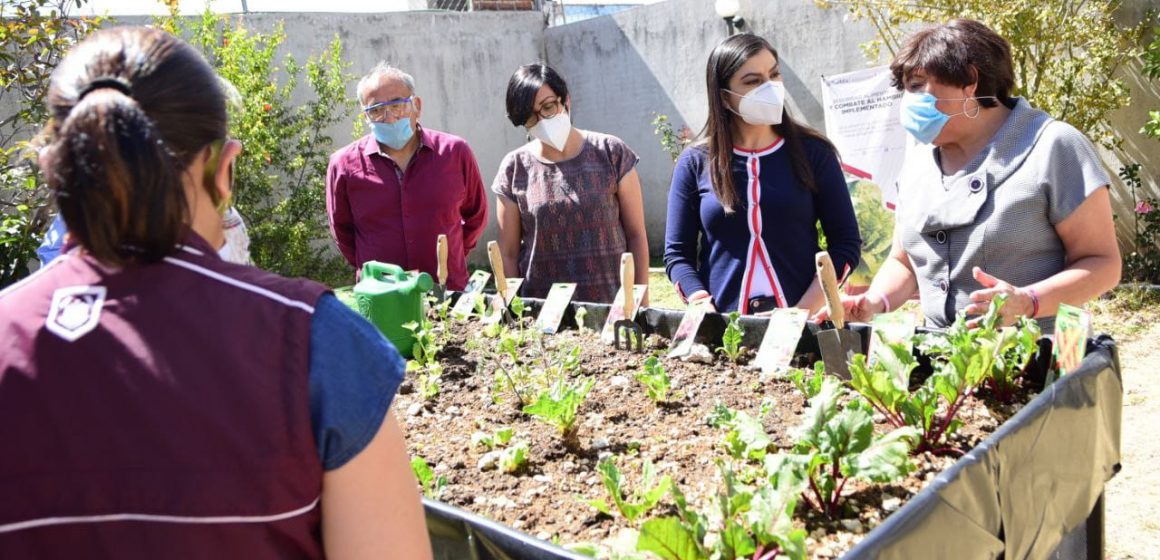 Ayuntamiento de Puebla benefició a 135 personas adultas mayores con módulos de producción alimentaria