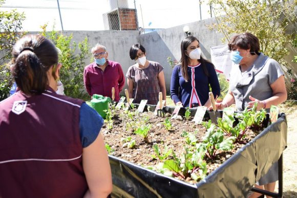 Ayuntamiento de Puebla benefició a 135 personas adultas mayores con módulos de producción alimentaria