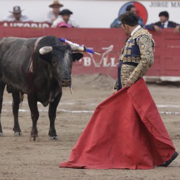 Regidores de Acción Nacional, rechazan punto de acuerdo