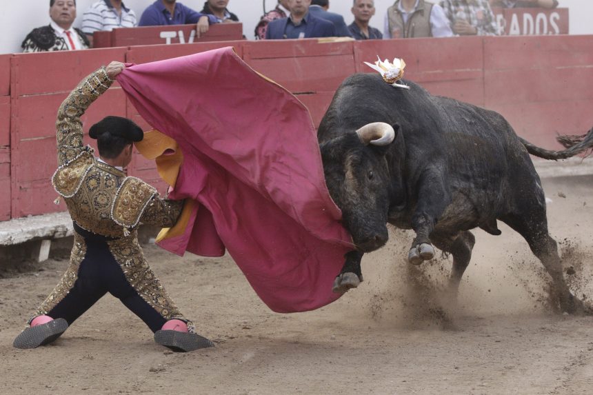 toros-el-relicario-379783 Gobierno analizará proyecto de una fosa para fiesta brava en zona metropolitana