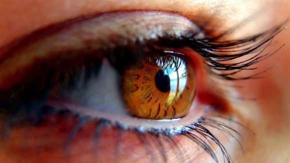 Día Mundial del Glaucoma