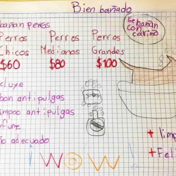 #Viral Niño baña perritos para ahorrar y ser veterinario