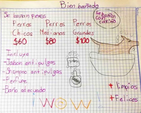 #Viral Niño baña perritos para ahorrar y ser veterinario