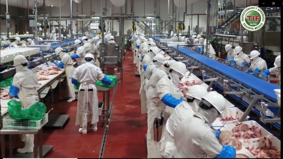 En 2 años, Planta Procesadora de Cerdo de Granjas Carroll se fortalece