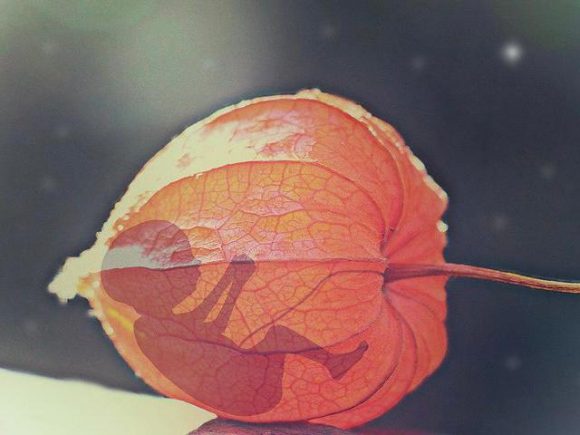 Del 5 al 20 de abril Congreso organizará foros para analizar despenalizar el aborto