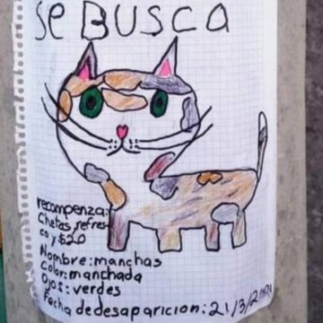 Pequeño busca a gato Manchas, ofrece Cheetos de recompensa