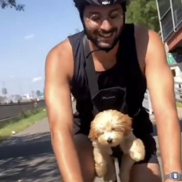 Aventura en cuatro patas: perro se vuelve viral en un paseo en bicicleta y es lo más visto en las redes sociales [VIDEO]