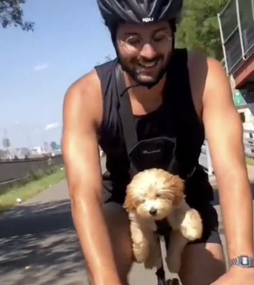 Aventura en cuatro patas: perro se vuelve viral en un paseo en bicicleta y es lo más visto en las redes sociales [VIDEO]