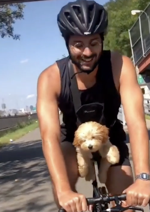 Aventura en cuatro patas: perro se vuelve viral en un paseo en bicicleta y es lo más visto en las redes sociales [VIDEO]