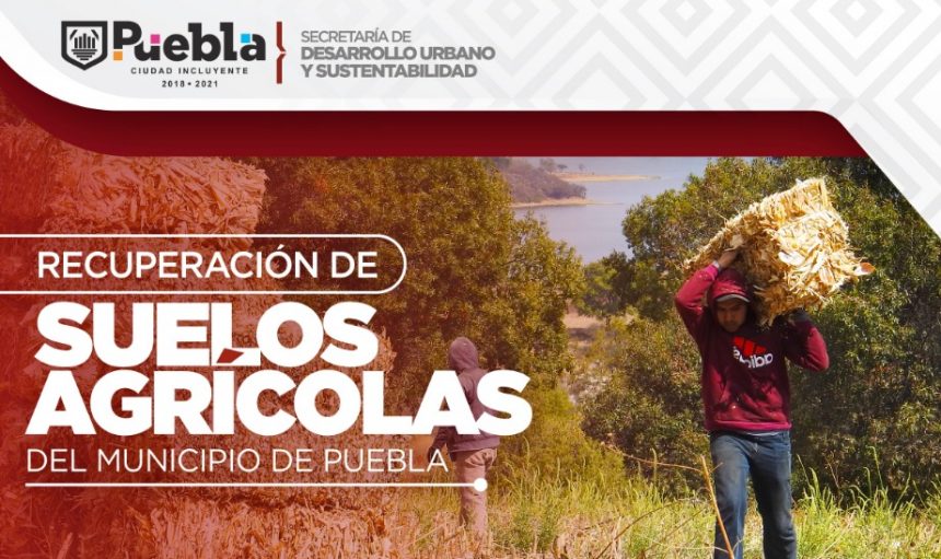 Con Programa de Mecanización para Ejidatarios, Ayuntamiento de Puebla rescata el campo
