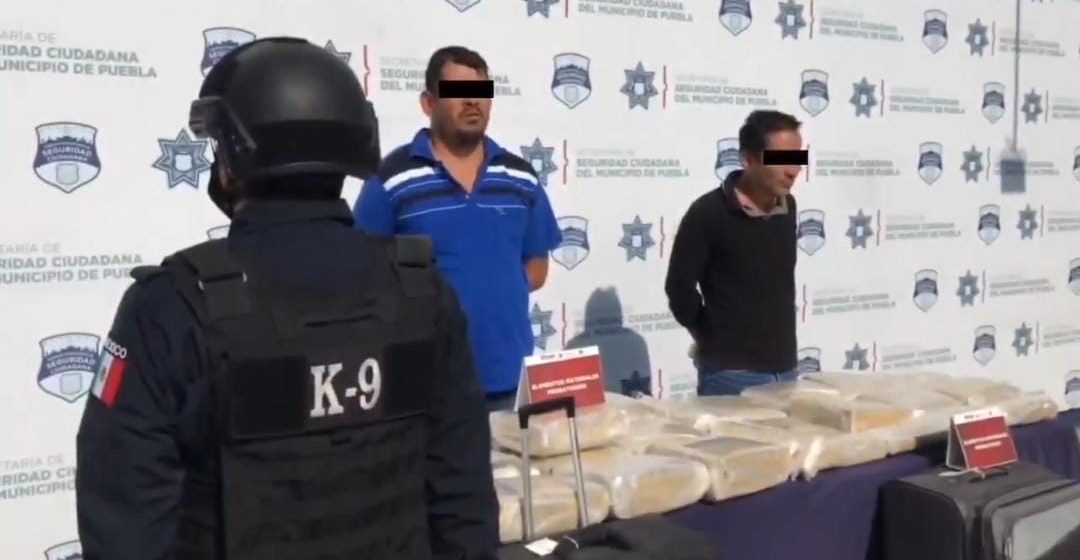 Capturan a dos en la CAPU que trasladaban 50 kilos de marihuana