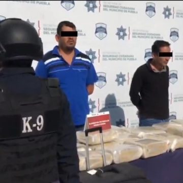 Capturan a dos en la CAPU que trasladaban 50 kilos de marihuana