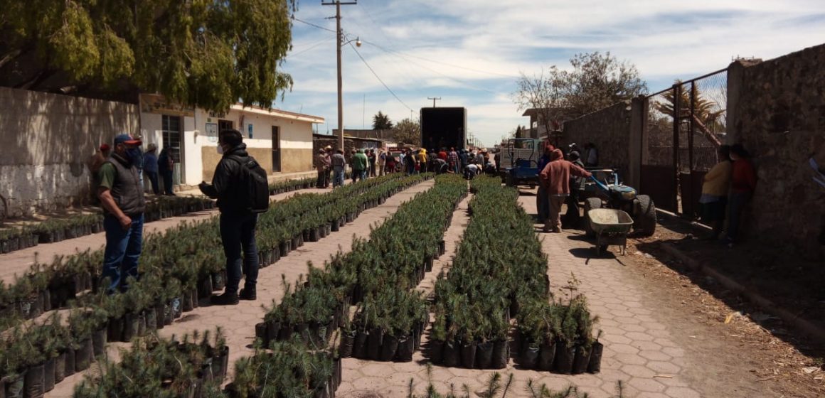 Fundaciones Grupo México y Granjas Carroll de México entregan árboles frutales a productores de Puebla