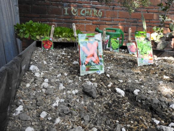 Ayuntamiento de Puebla capacita a personas adultas mayores para la autoproducción alimentaria