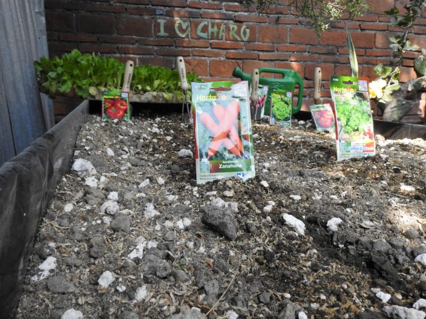 Ayuntamiento de Puebla capacita a personas adultas mayores para la autoproducción alimentaria