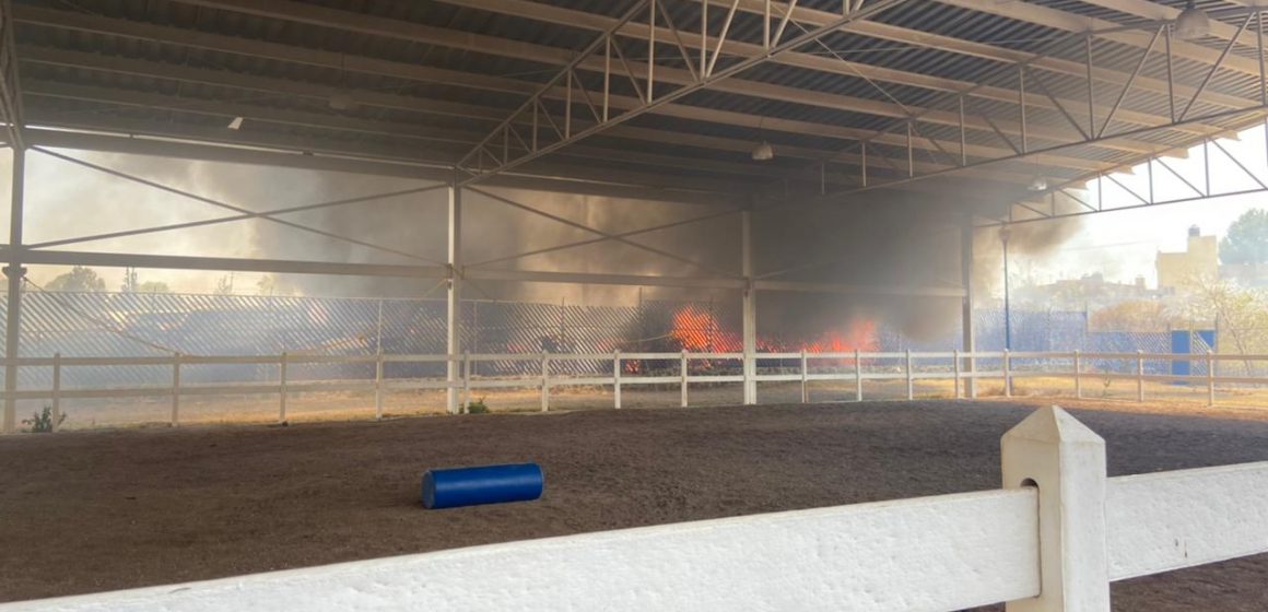 (VIDEO) Se descartan daños por incendio en el Centro de Equinoterapia municipal