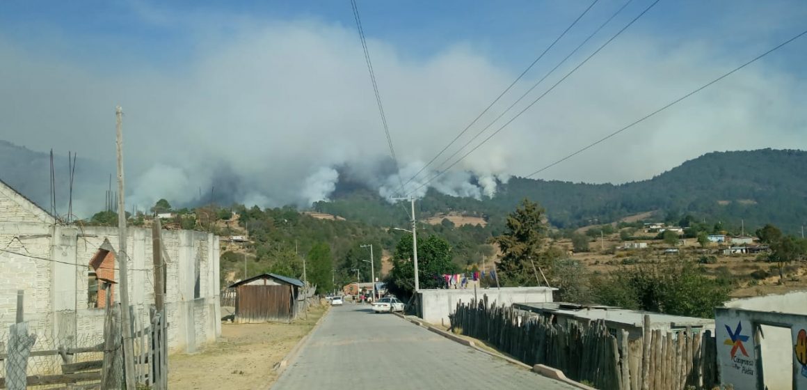 Atiende Coordinación de Protección Civil incendio forestal en Ocotepec