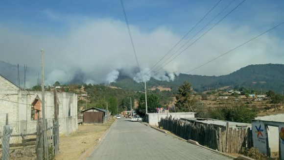 Atiende Coordinación de Protección Civil incendio forestal en Ocotepec