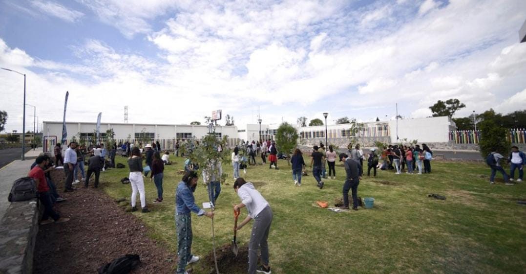 Invita BUAP a adoptar un árbol