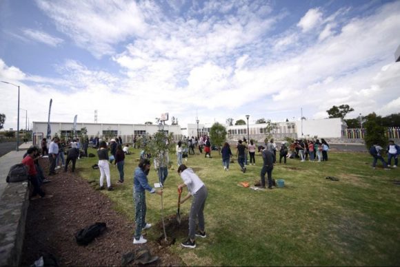 Invita BUAP a adoptar un árbol