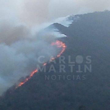 Incendio consume hectáreas boscosas en Puente Seco, en Tetela de Ocampo