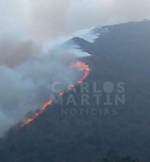94f51c42-e07a-4781-a696-925e9cdc1c69 Incendio consume hectáreas boscosas en Puente Seco, en Tetela de Ocampo