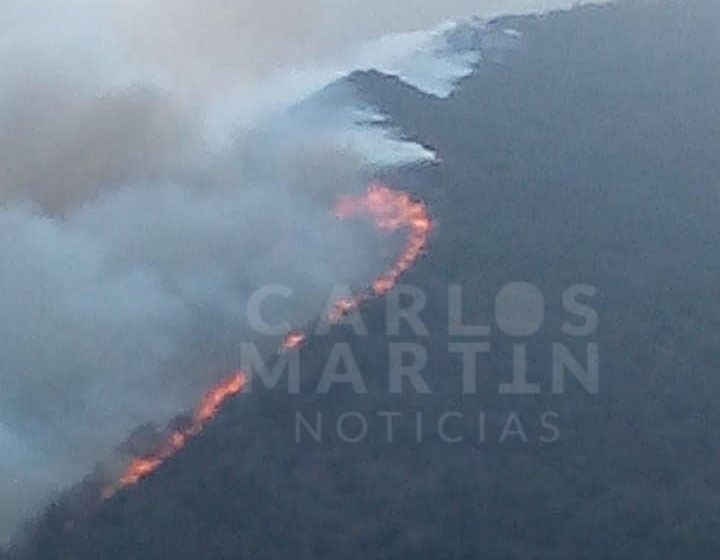Incendio consume hectáreas boscosas en Puente Seco, en Tetela de Ocampo
