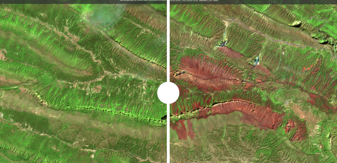 (FOTOS) Así luce el antes y después de los distintos incendios forestales del 2021 en México