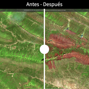 (FOTOS) Así luce el antes y después de los distintos incendios forestales del 2021 en México