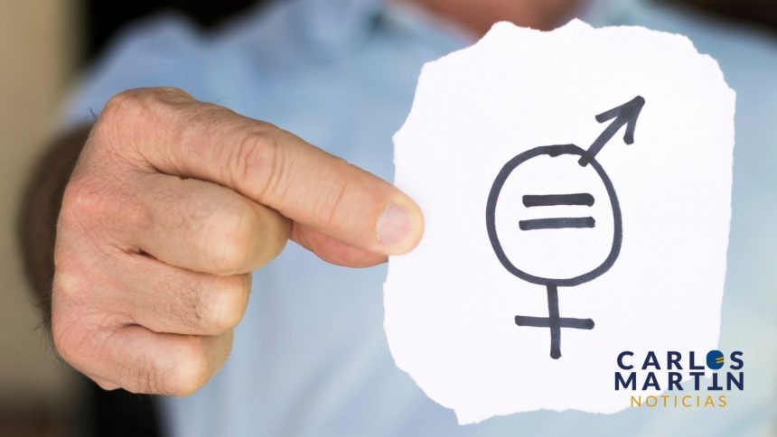 Naranja Perros Bonitos Mascota Foto Collage-4 Machismo, feminismo, hembrismo