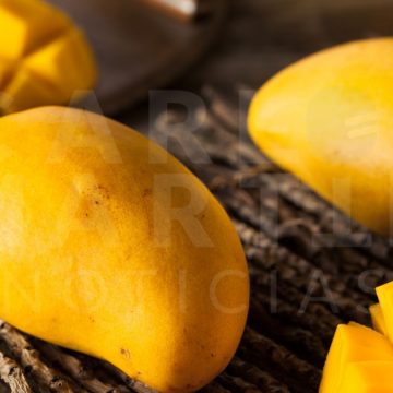 Beneficios y propiedades del mango