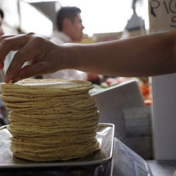 Precio de tortilla rompe récord en 27 pesos el kilo